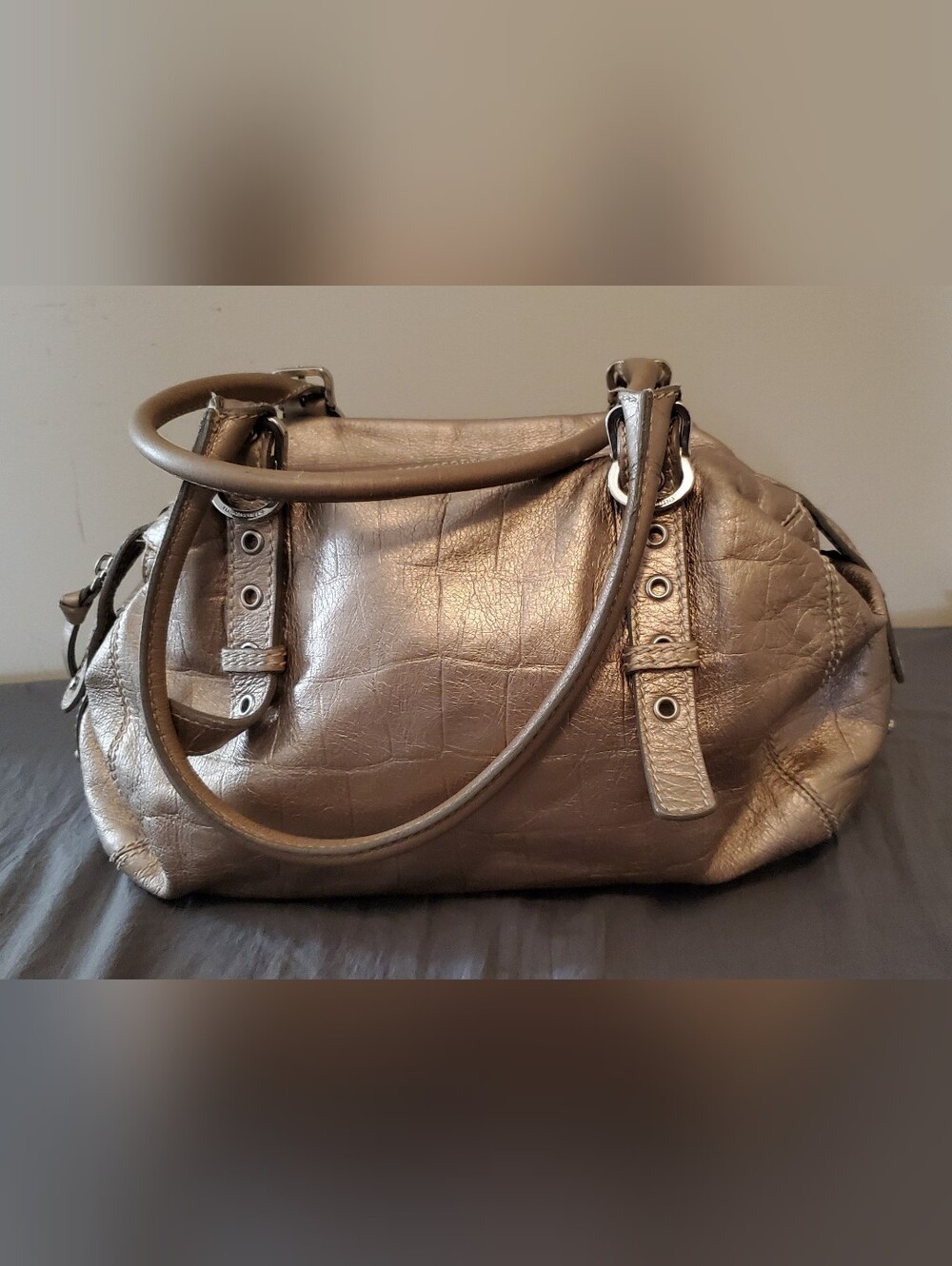Francesco Biasia Metallic Leather Satchel/PurseFrancesco Biasia Metallic Leather